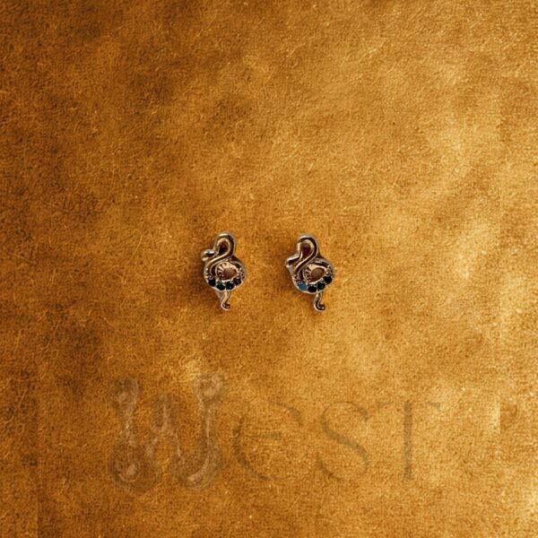 Aretes Pasantes Serpiente
