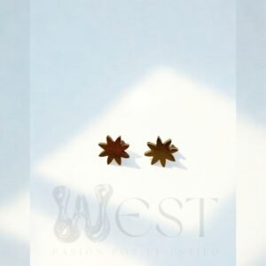 Aretes Pasantes Sol