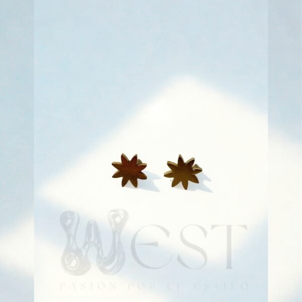 Aretes Pasantes Sol